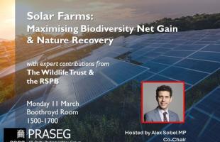 solar farms invite
